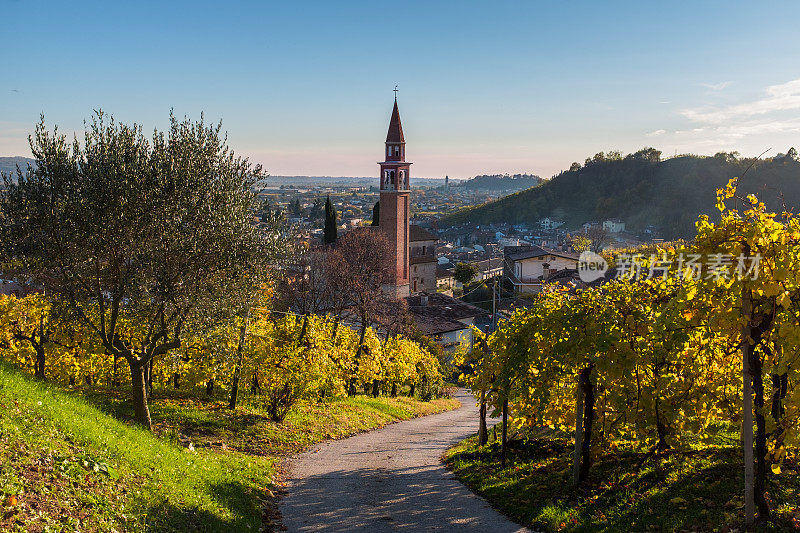 Vidor(电视)Veneto,Prosecco hills,Panorama